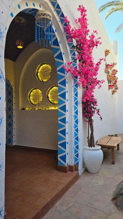 Fotografie z fotogalerie ubytování Dolty Kato Nubian House By Kato Dool v destinaci Asuán