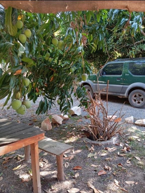 Zahrada ubytování Cantinho HAKUNA MATATA-Vale do Capão a 5 min da Vila