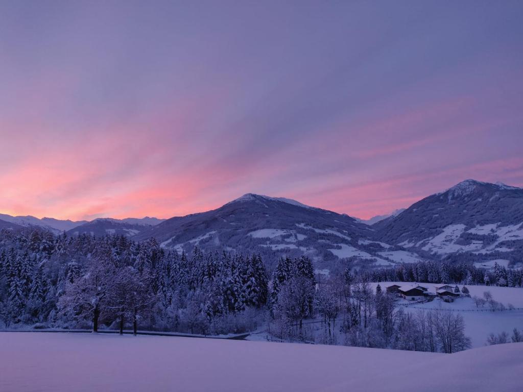 Paesaggio naturale nelle vicinanze dell'appartamento