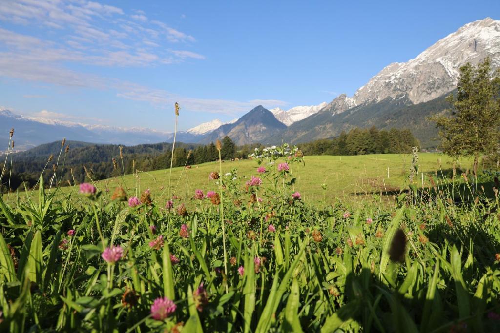 Paesaggio naturale nelle vicinanze dell'appartamento