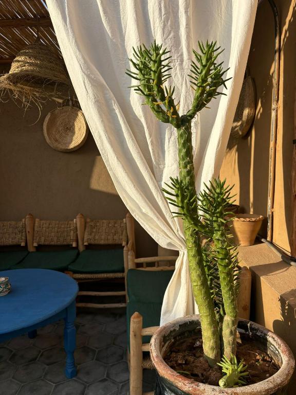 Fotografie z fotogalerie ubytování Riad bab Adam v Marrákéši