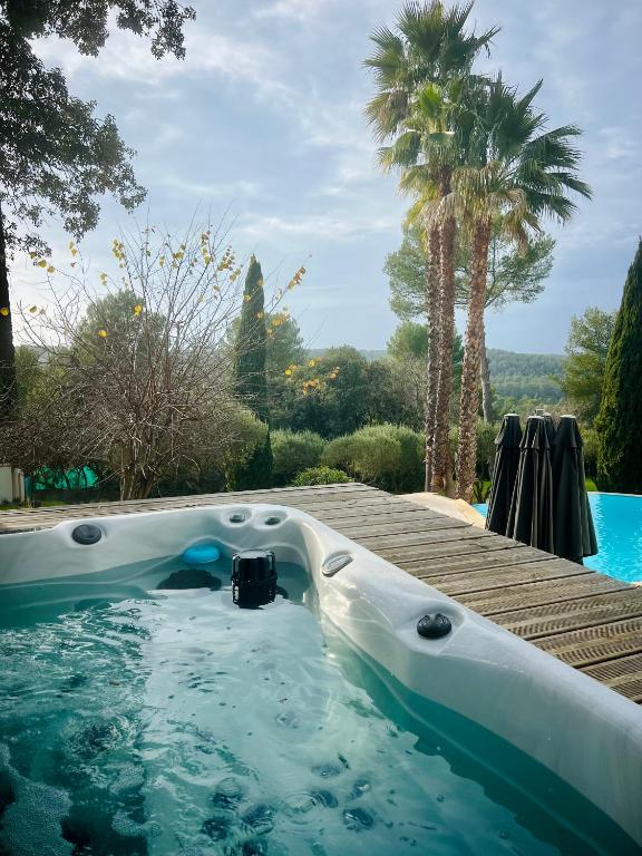 d'un bain à remous dans une cour avec un palmier. dans l'établissement Maison d'hôtes et appartement Villa Palma, à Montferrier-sur-Lez