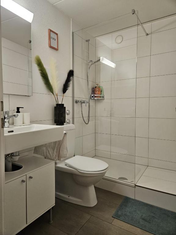 Schöne Wohnung in der Innenstadt - Resim 4