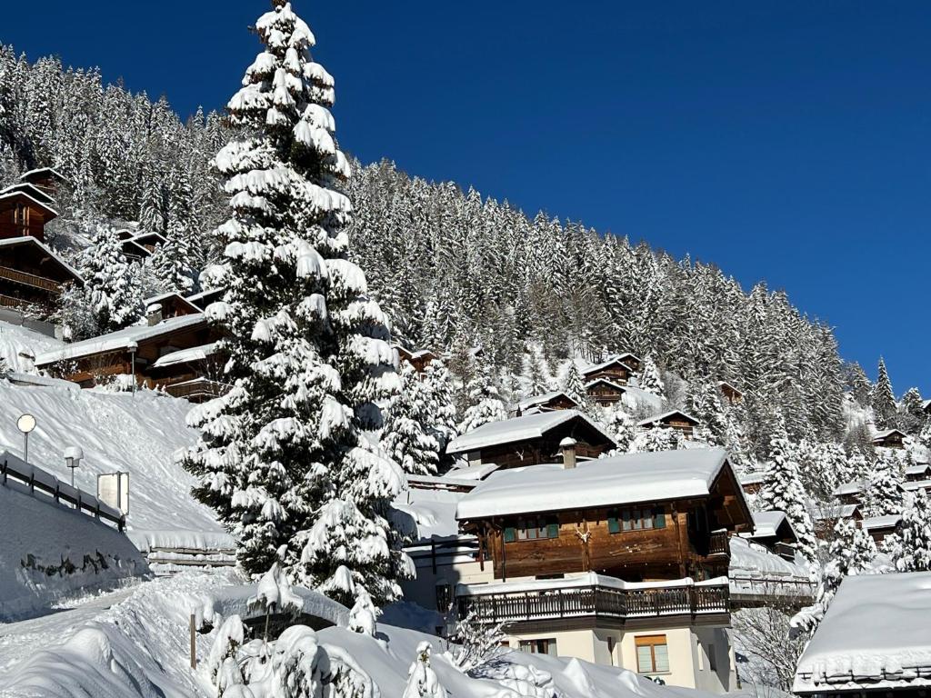 Chalet Etoile v zimě