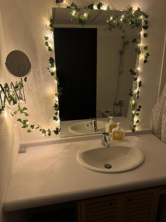 Fotografie z fotogalerie ubytování Jungle - Vue - Clim - Wifi v destinaci Lurdy