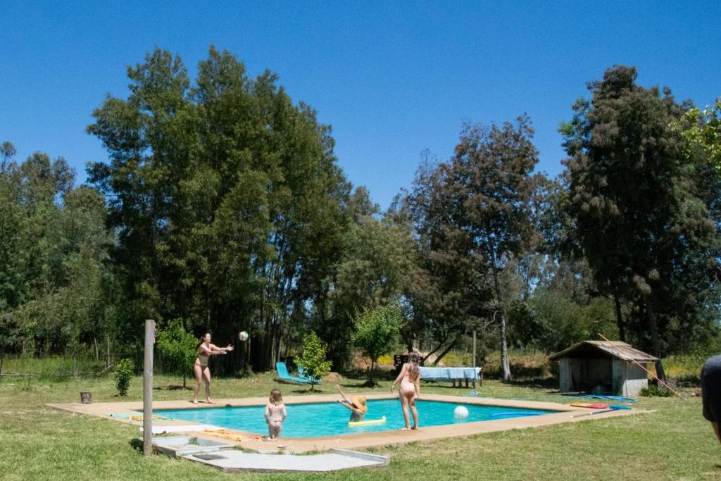 Πισίνα στο ή κοντά στο casa de campo Graciela