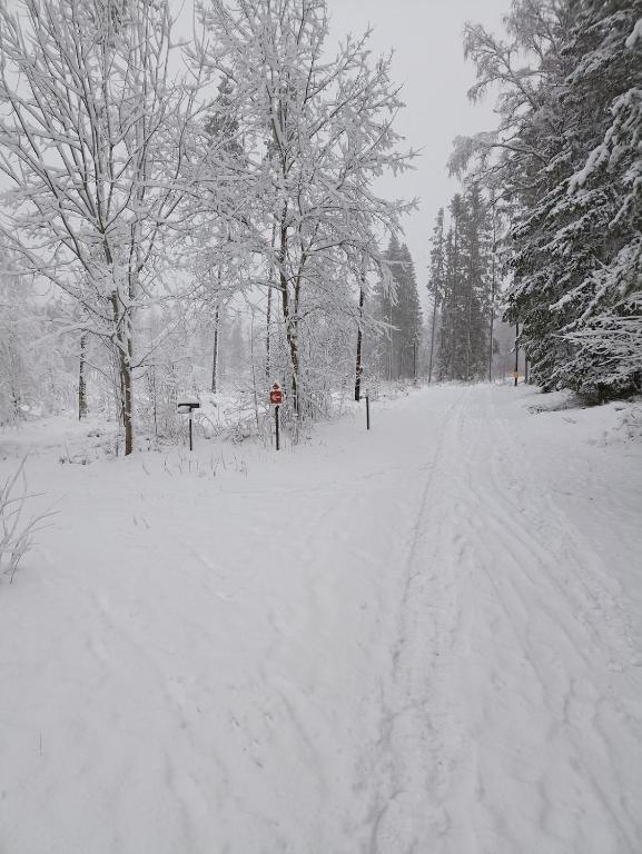 Cabin in close proximity to Hökensås v zimě