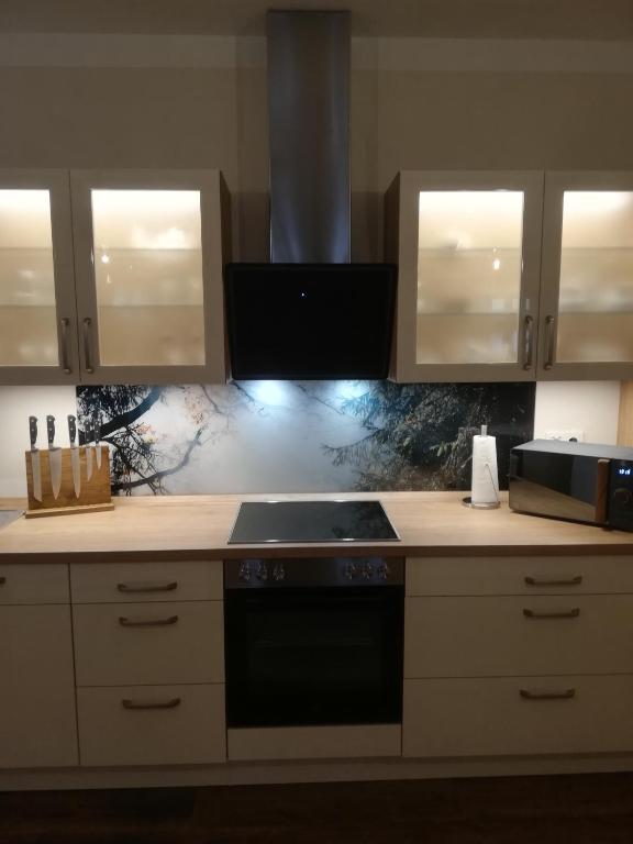Kuchyň nebo kuchyňský kout v ubytování Traditions - Hotel "Zur Tanne"