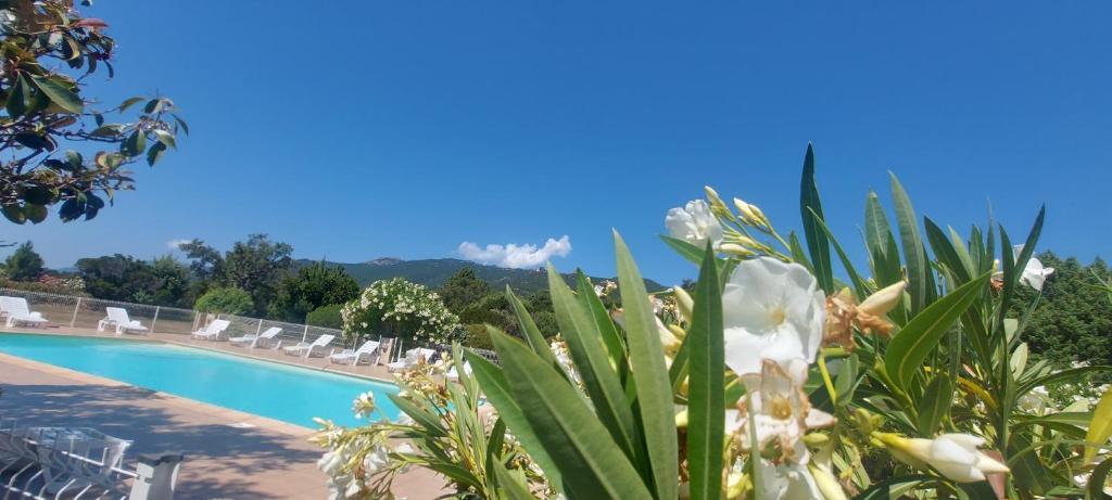 une vue de la piscine d'un complexe hôtelier avec des fleurs blanches dans l'établissement Villa 