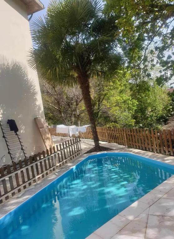 a swimming pool with a palm tree in a yard at Casa da Lagoa II in Terras de Bouro