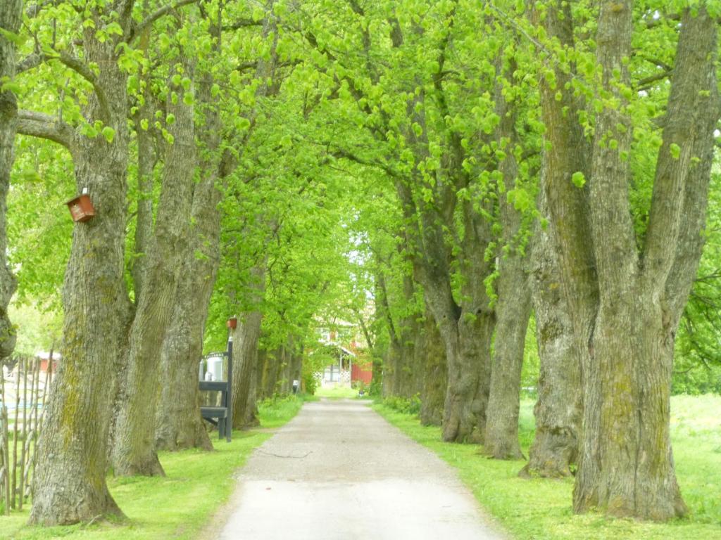 Zahrada ubytování Kullagården