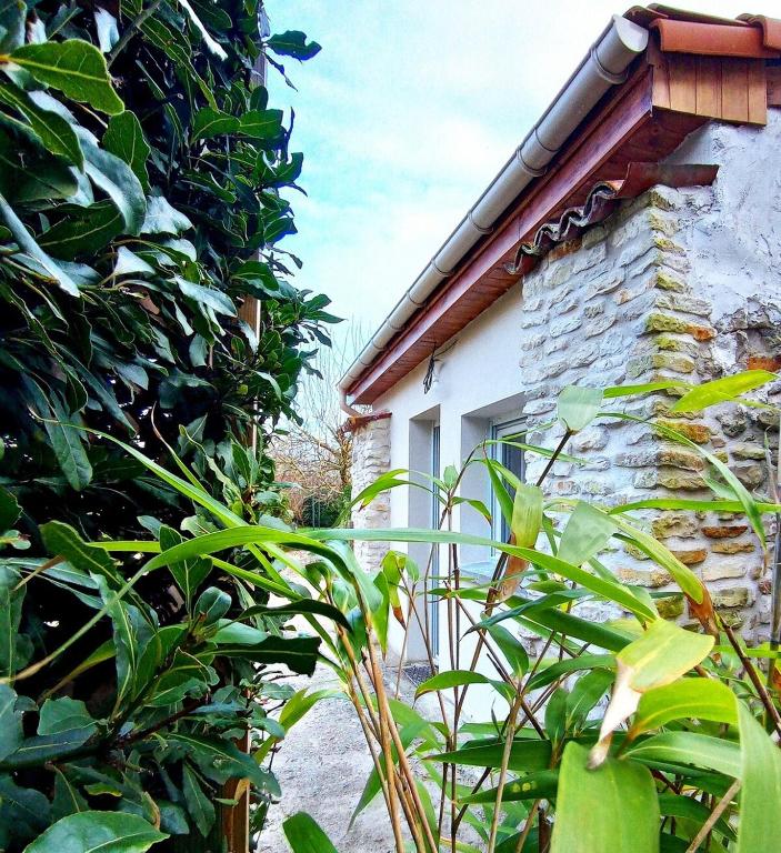 un bâtiment avec un tas de plantes devant lui dans l'établissement Studio, aire de loisirs avec piscine, à Marigny