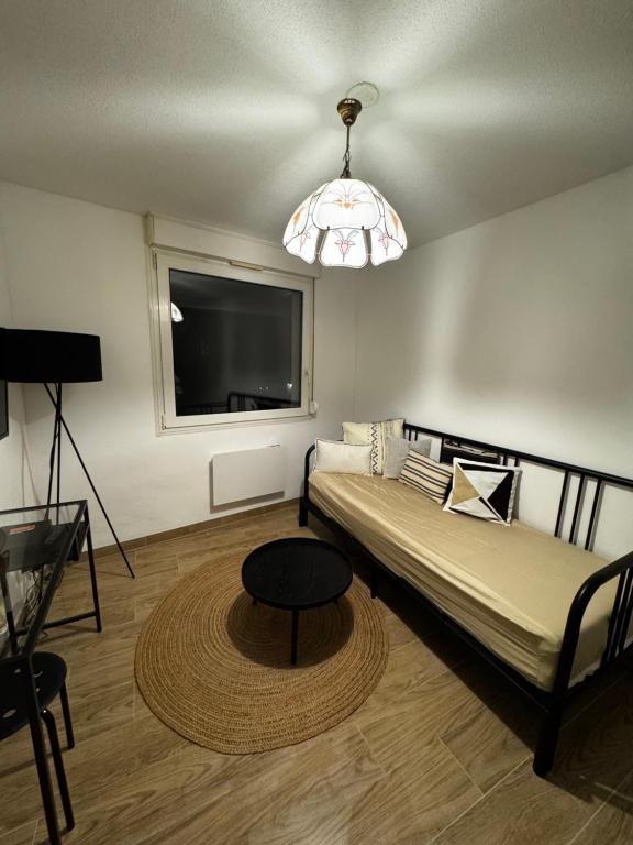 a living room with a bed and a television at Le Sarsour Appartement Strasbourg Centre in Strasbourg