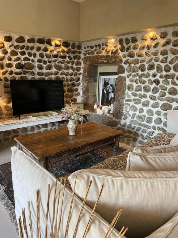 TV a/nebo společenská místnost v ubytování La Suite Drômoise 1809