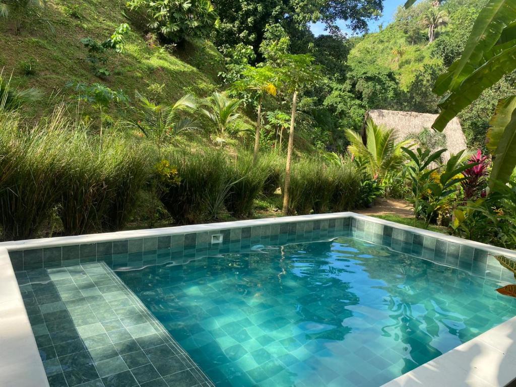 Bazén v ubytování Canto Tayrona Ecolodges nebo v jeho okolí