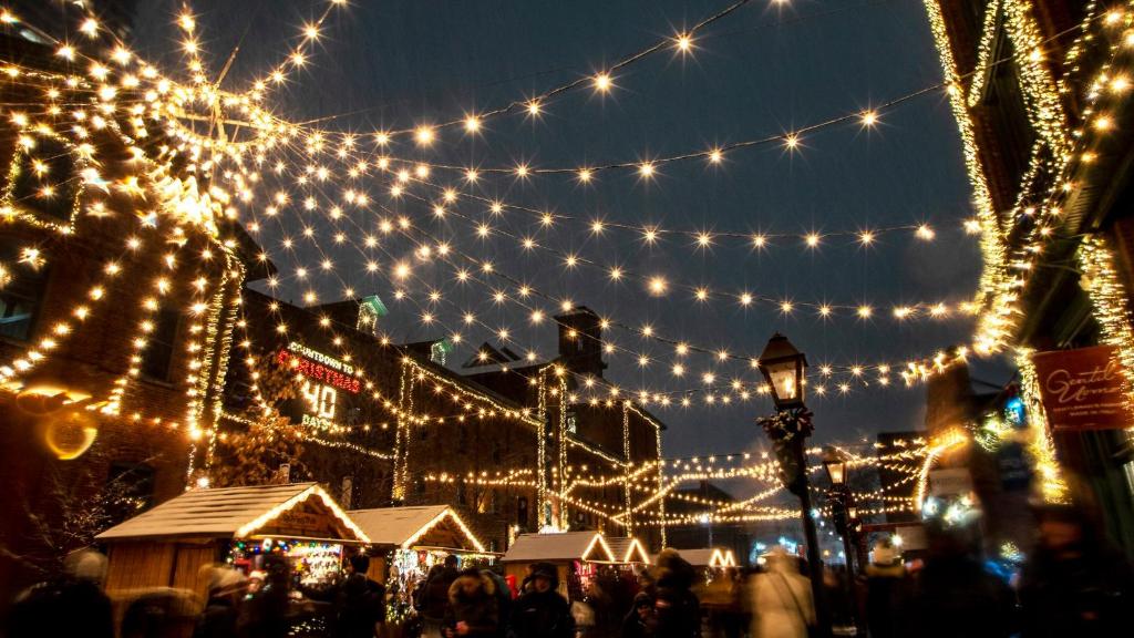 Holiday Inn Toronto International Airport by IHG - Resim 40