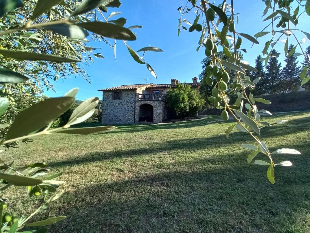Ogród w obiekcie Agriturismo La Bulletta