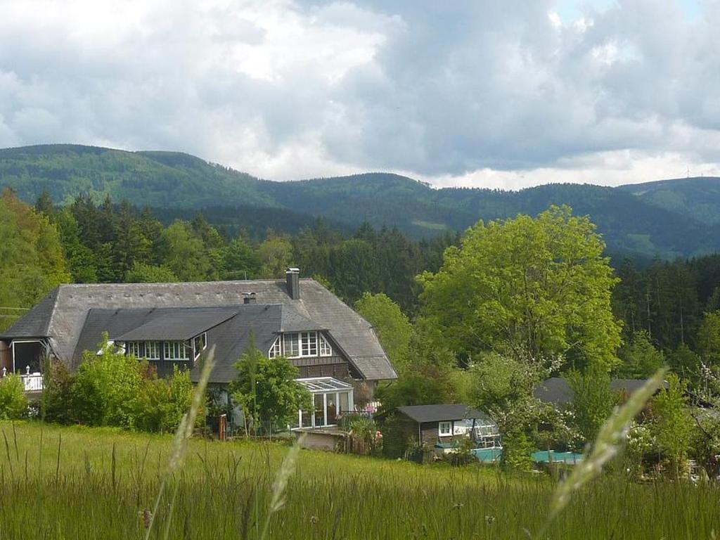 una casa in un campo con montagne sullo sfondo di s'Fleckli a Elzach