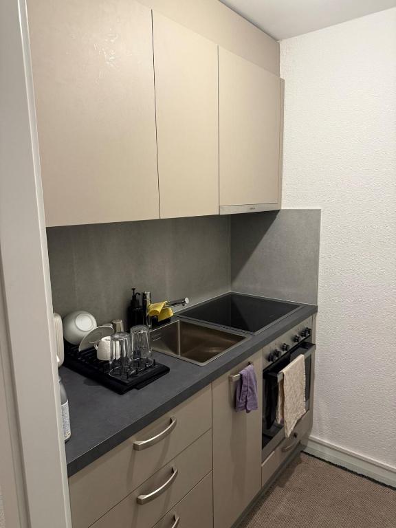 Kuchyň nebo kuchyňský kout v ubytování Studio confortable
