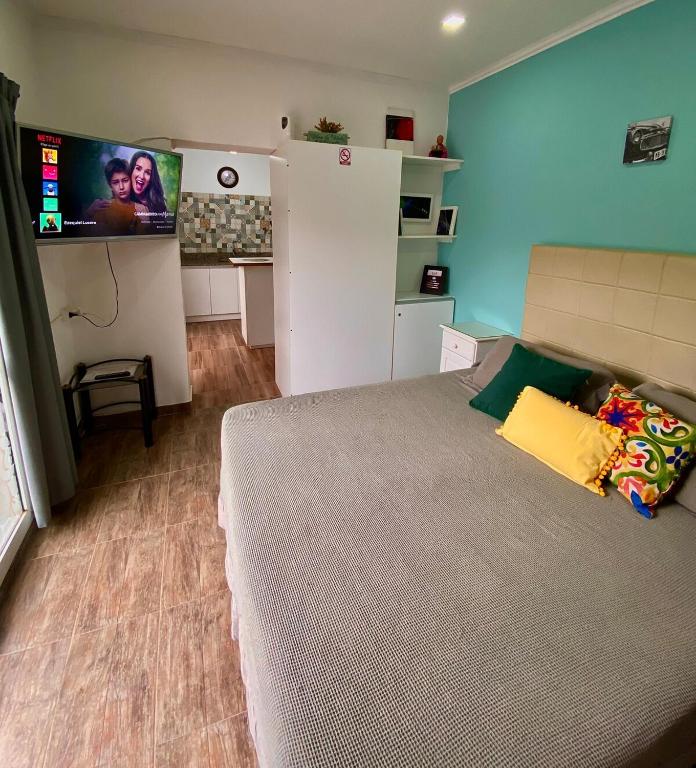 a bedroom with a large bed and a flat screen tv at Loft Avis in San Luis