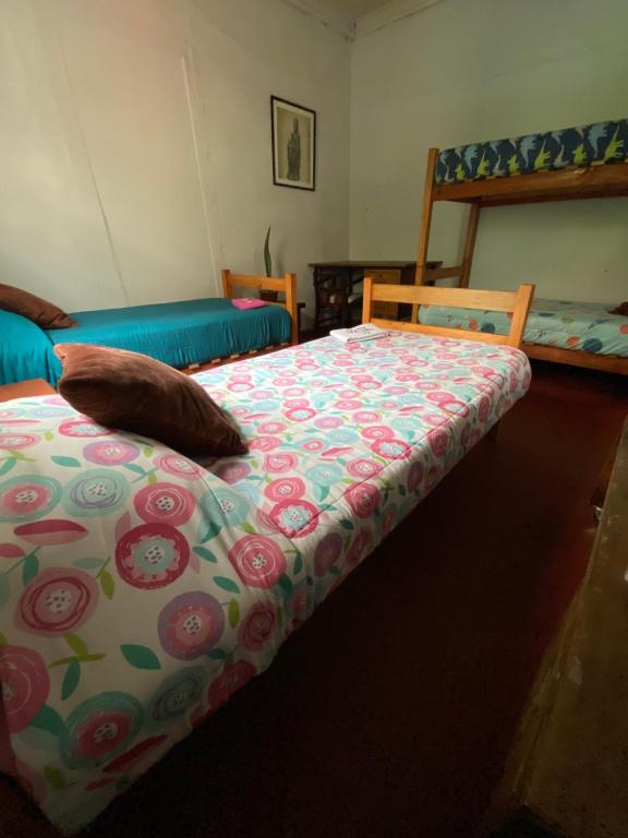 Fotografie z fotogalerie ubytování Selva Hospedaje v destinaci Valparaíso