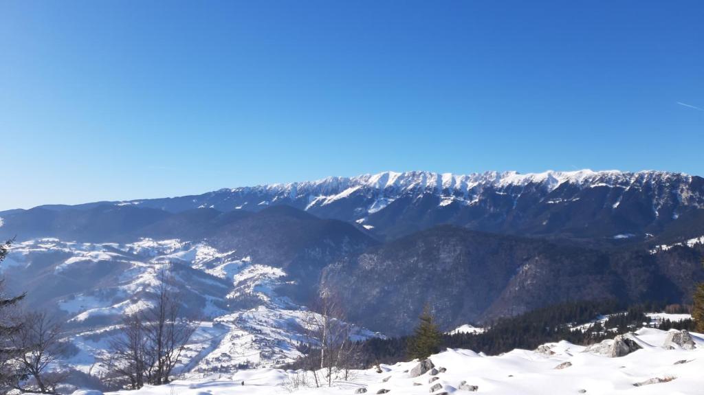 a view of a snow covered mountain range at Magura Rustic Tiny House in Măgura