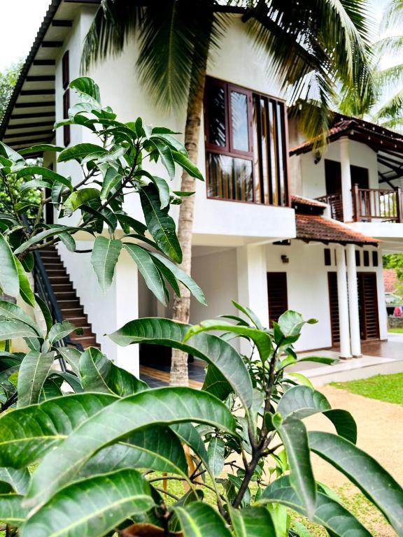 Value Max Resort Udawalawe