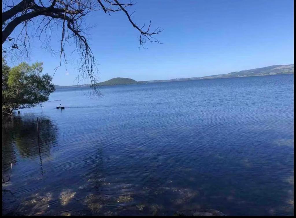 Fabulous Lake Front House-Private lake access - Resim 9