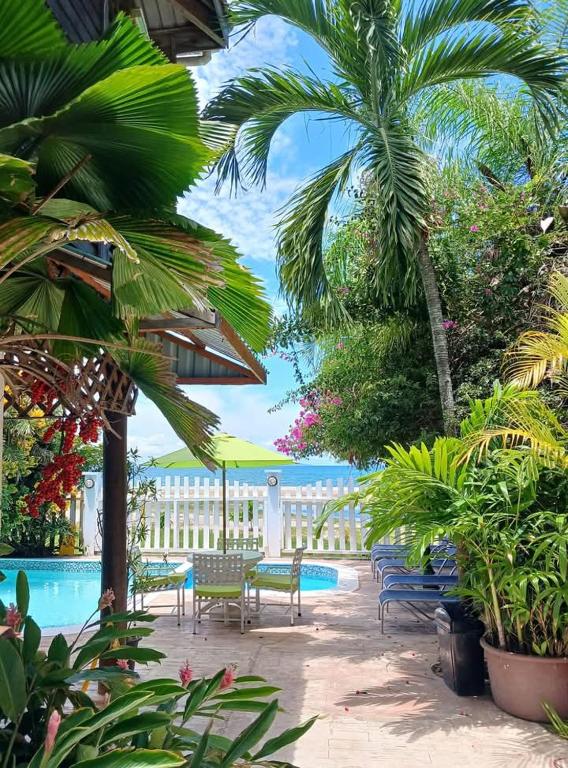 a patio with chairs and a pool with palm trees at Hotel Capitan Playa Tela in Tela