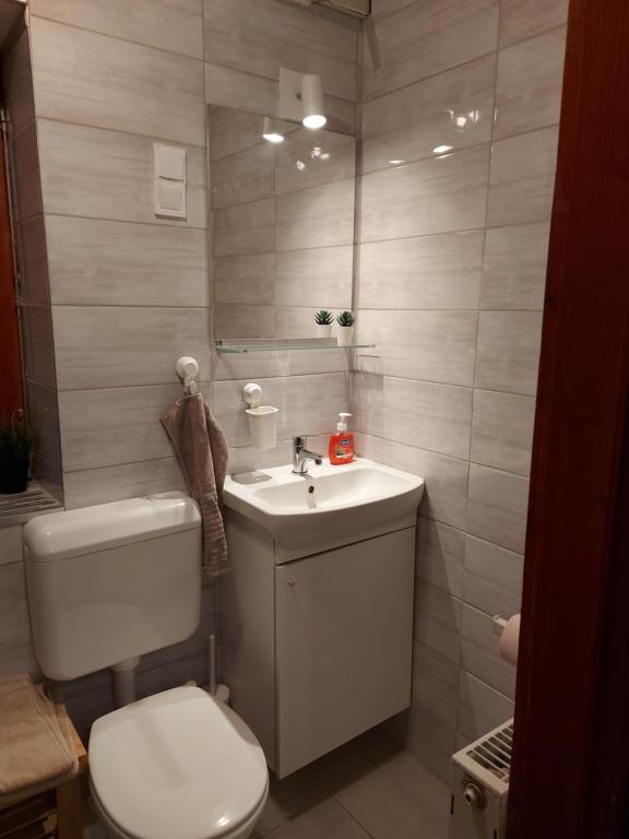 Kúpeľňa v ubytovaní Attila-Apartman Budaörs