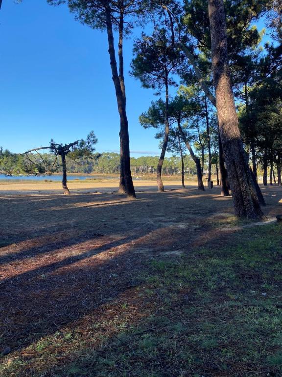 Hossegor - T2 - Lac - Plage - Couple - Paddle