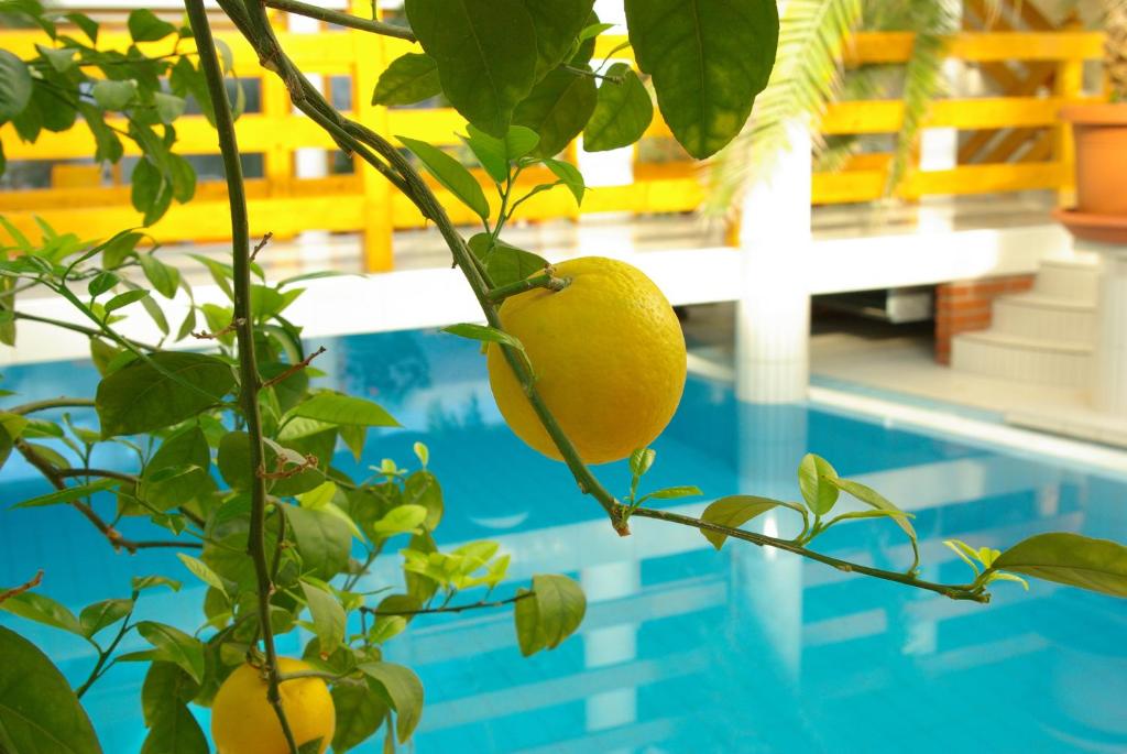 Bazén v ubytování Wellness Hotel Kakadu nebo v jeho okolí