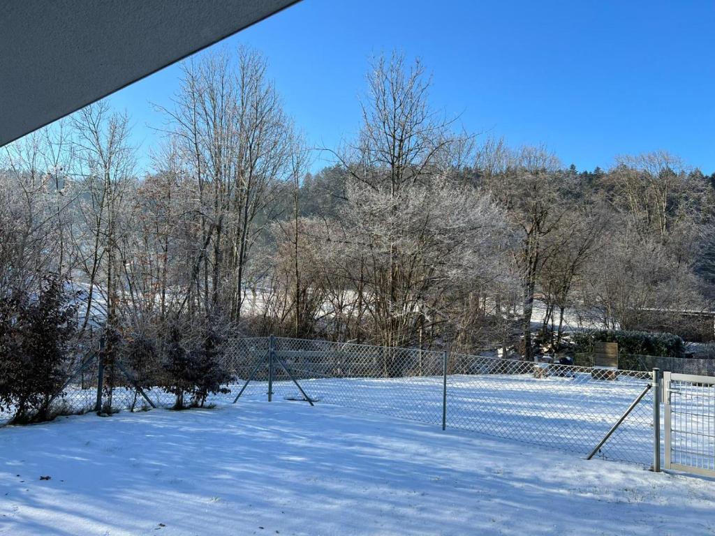 Ferien im grünen Reiterndorf v zime