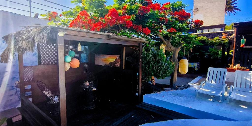 Billede fra billedgalleriet på Finca Lucía - Las Buganvillas i Tías