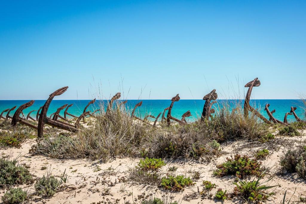 Photo de la galerie de l'établissement Pedras D'el Rei, à Tavira