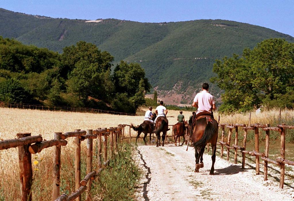 Jazda na koni pri farme alebo okolí