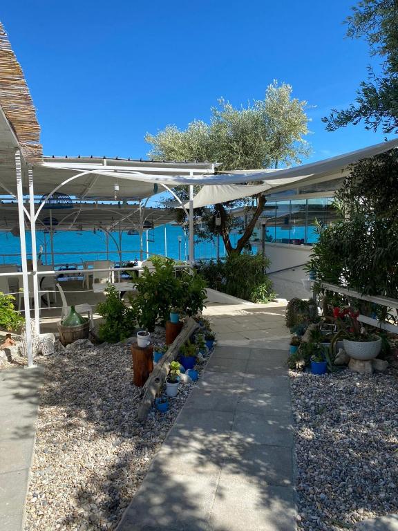 Zahrada ubytování B&B direttamente sul mare da Antonino