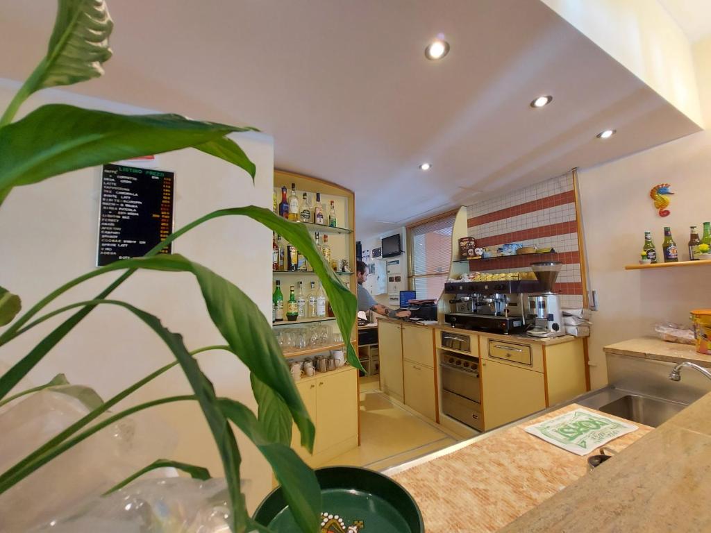 Kuchyň nebo kuchyňský kout v ubytování Hotel Joli