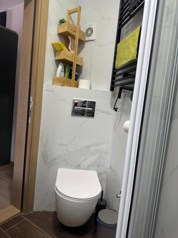 Koupelna v ubytování Villa Nada, Apartman Vučko, Divčibare