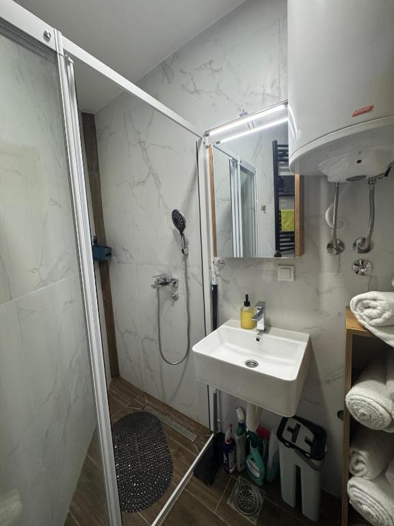 Koupelna v ubytování Villa Nada, Apartman Vučko, Divčibare