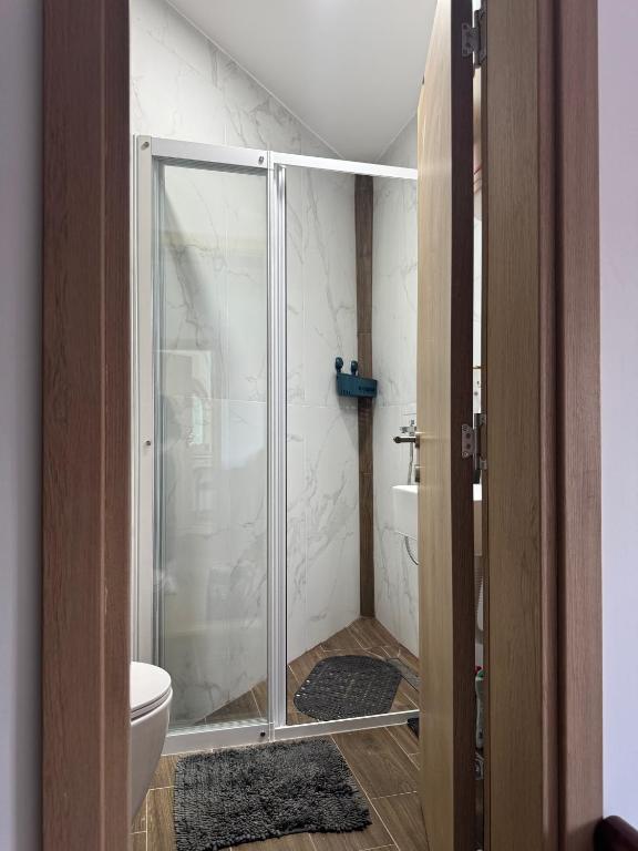 Koupelna v ubytování Villa Nada, Apartman Vučko, Divčibare