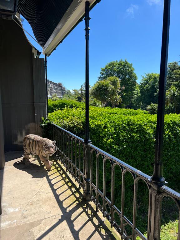 Luxury garden apartment under the Castle, Dover - Апартаменты с видом на сад