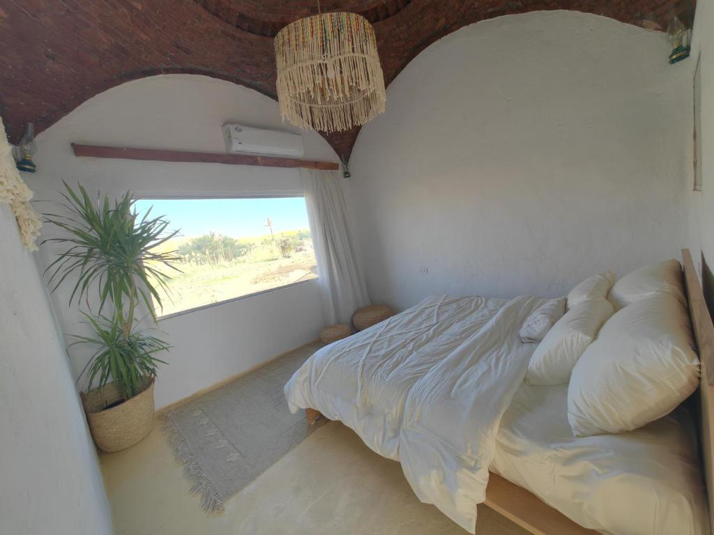 Nala Narty Nubian House & Organic Farm - 6