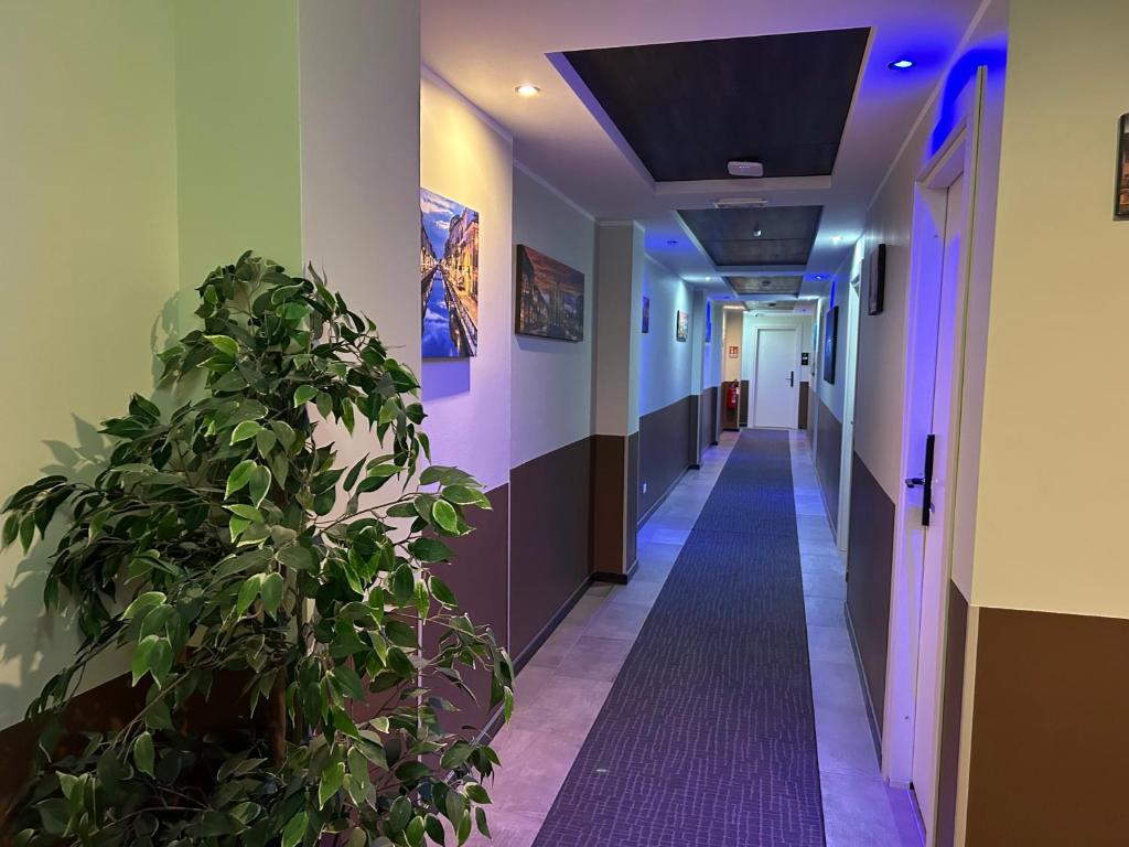 Fotografie z fotogalerie ubytování Hotel Stradivari v Miláně