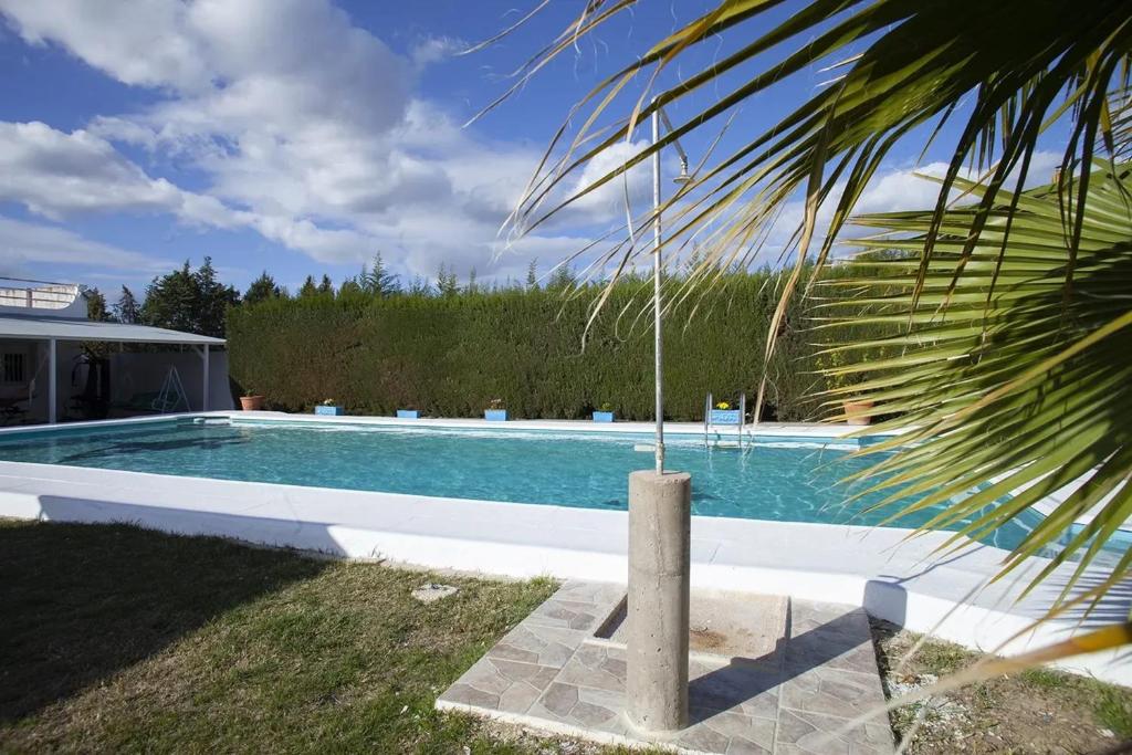 a swimming pool in a yard with a palm tree at Charming Villa in Linares with Private Pool in Jaén