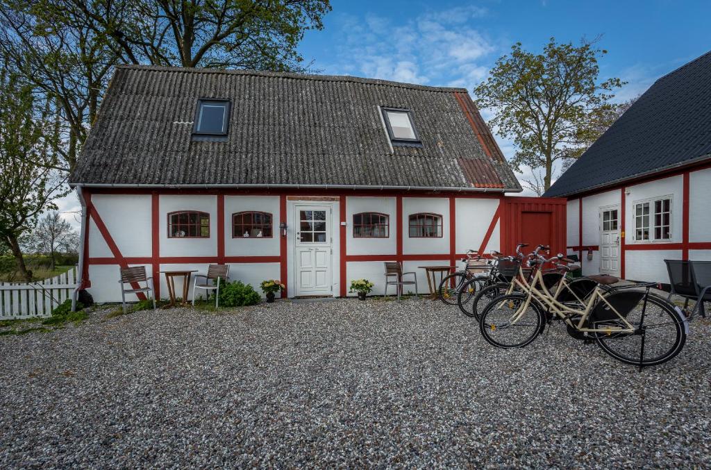 Jízda na kole v ubytování Jungshoved Præstegård B&B nebo okolí