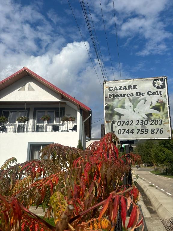 a sign for a cazars indoor delectable cactus cafe at Floare de colt in Arefu