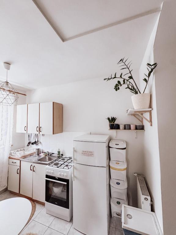 Kuchyňa alebo kuchynka v ubytovaní Koralik - BOHO Apartamenty z BALIĄ w CENIE! Kluszkowce - 1 km od Velo Czorsztyn i CzorsztynSKI