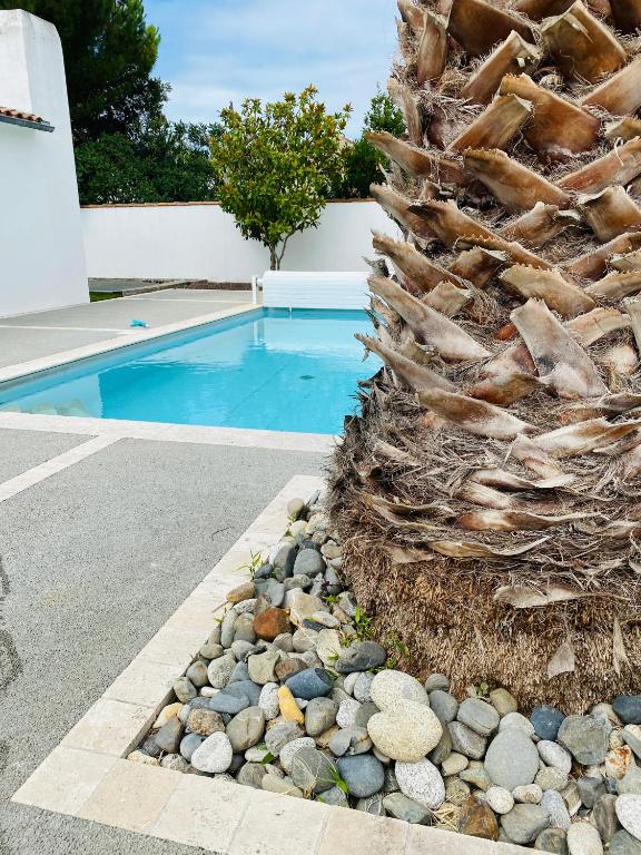 un palmier à côté d'une piscine dans l'établissement Villa Sauvage, à La Flotte