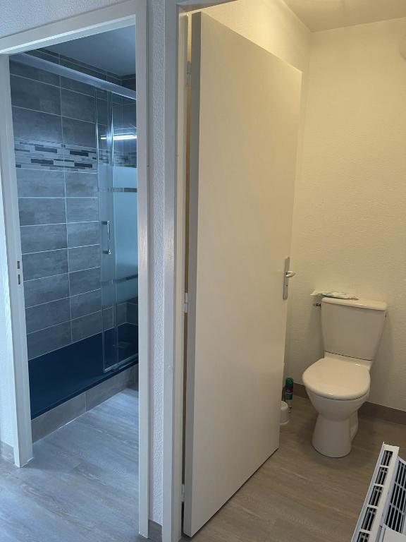 Koupelna v ubytování Location Logement T3 à Vignec dans les Pyrénées